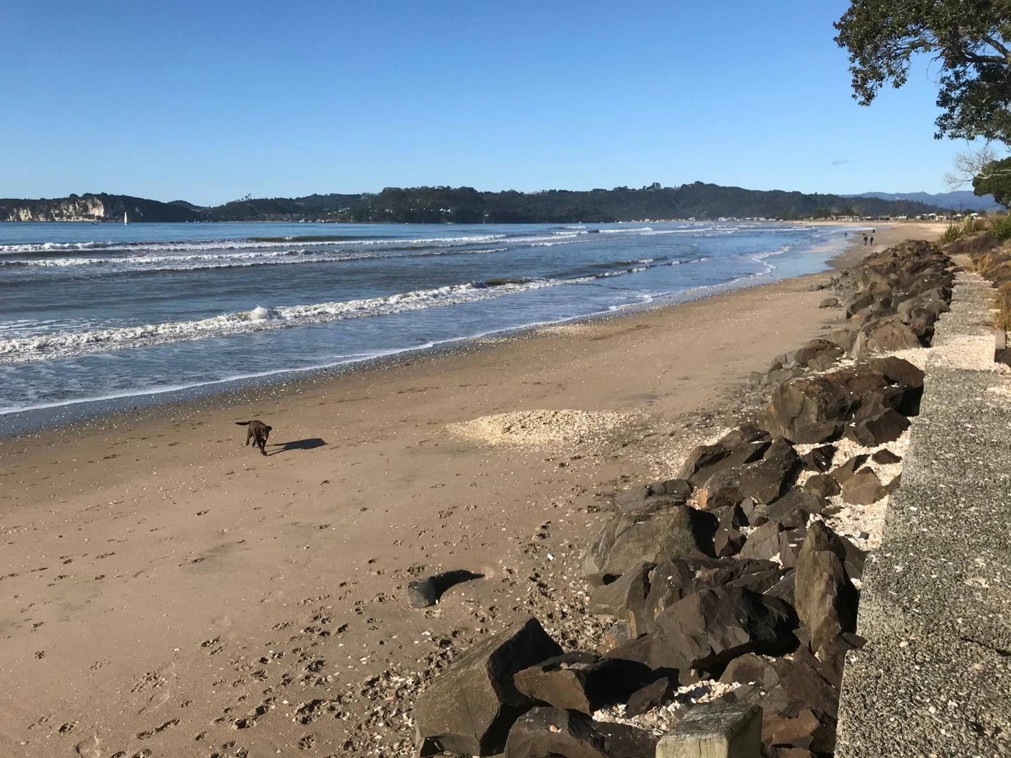 Whitianga Campground Exterior foto